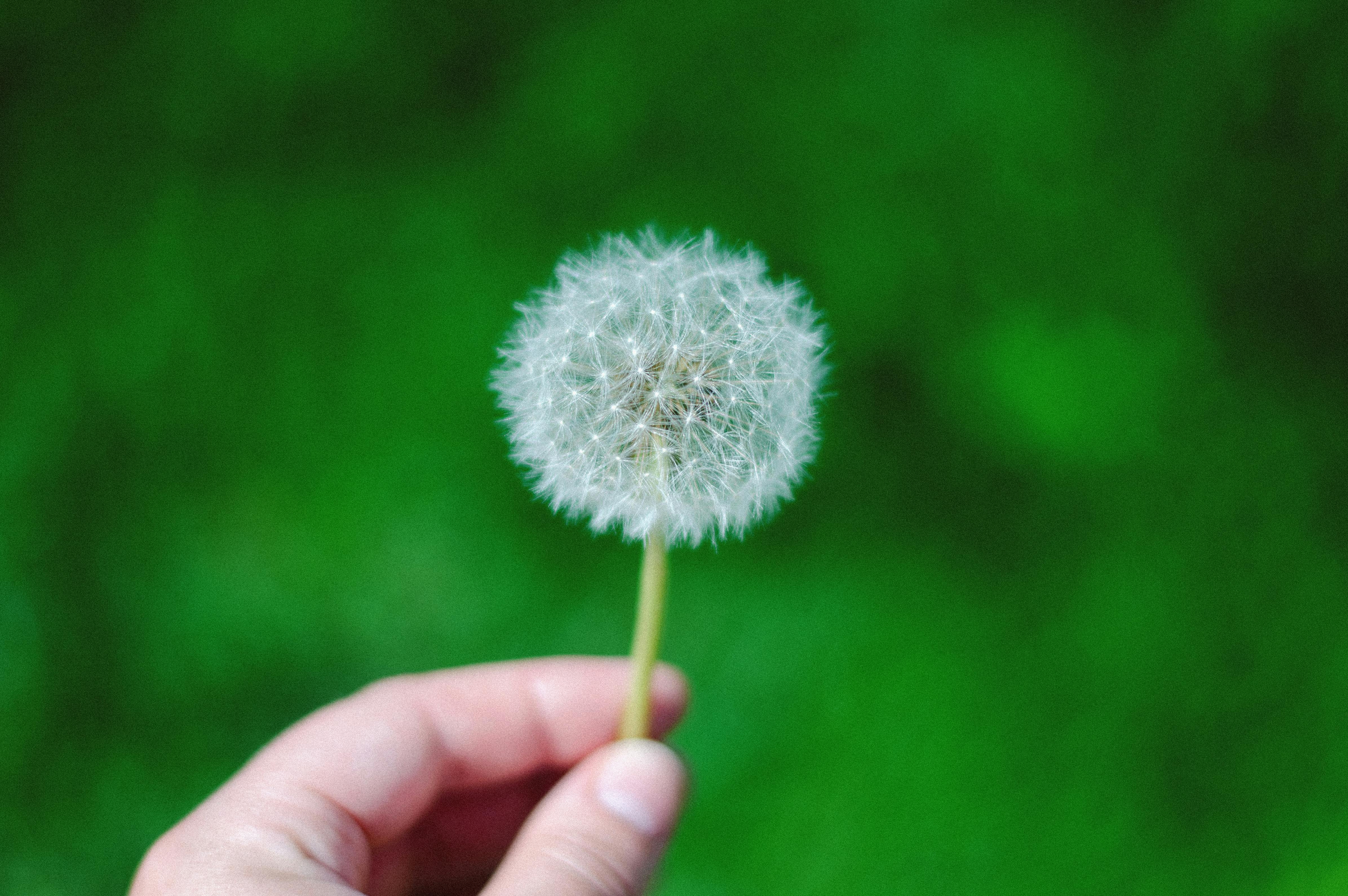 How to Properly Poop After Imodium: Smart Tips for 2025