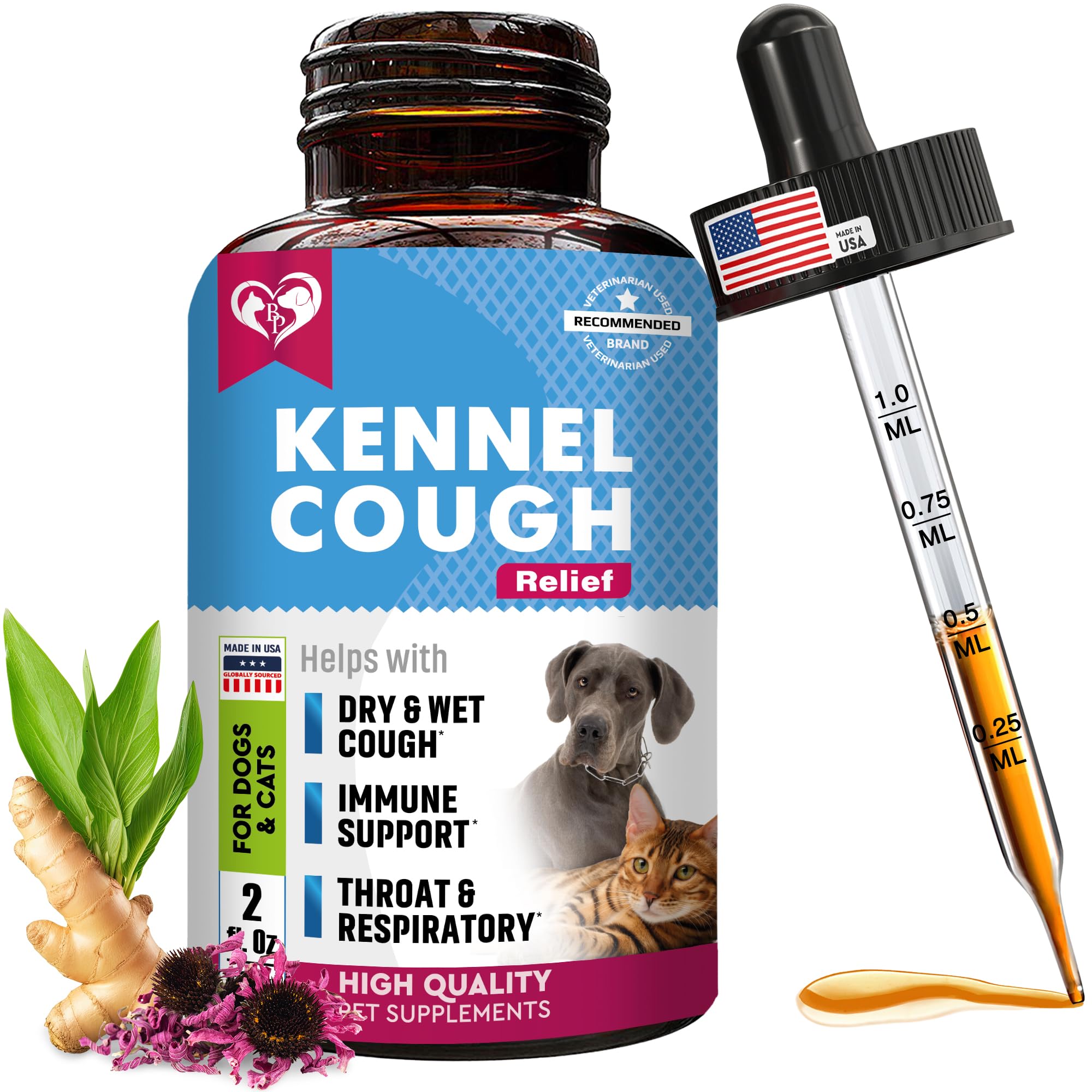 Kennel Cough Treatments